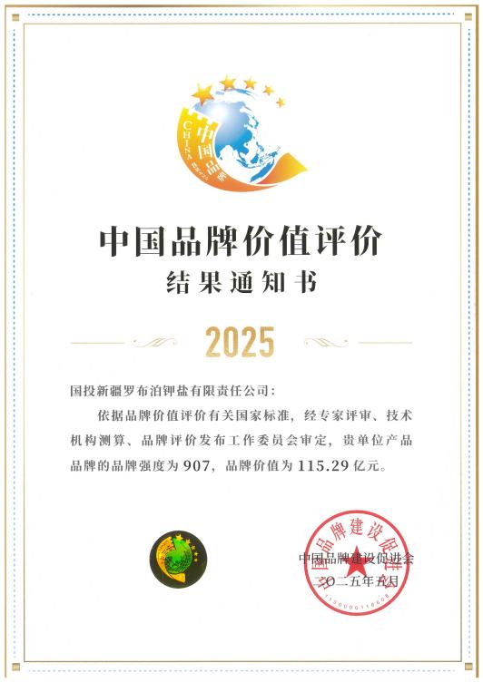 2025品牌价值评价结果证书 20-国投罗钾_page-0001