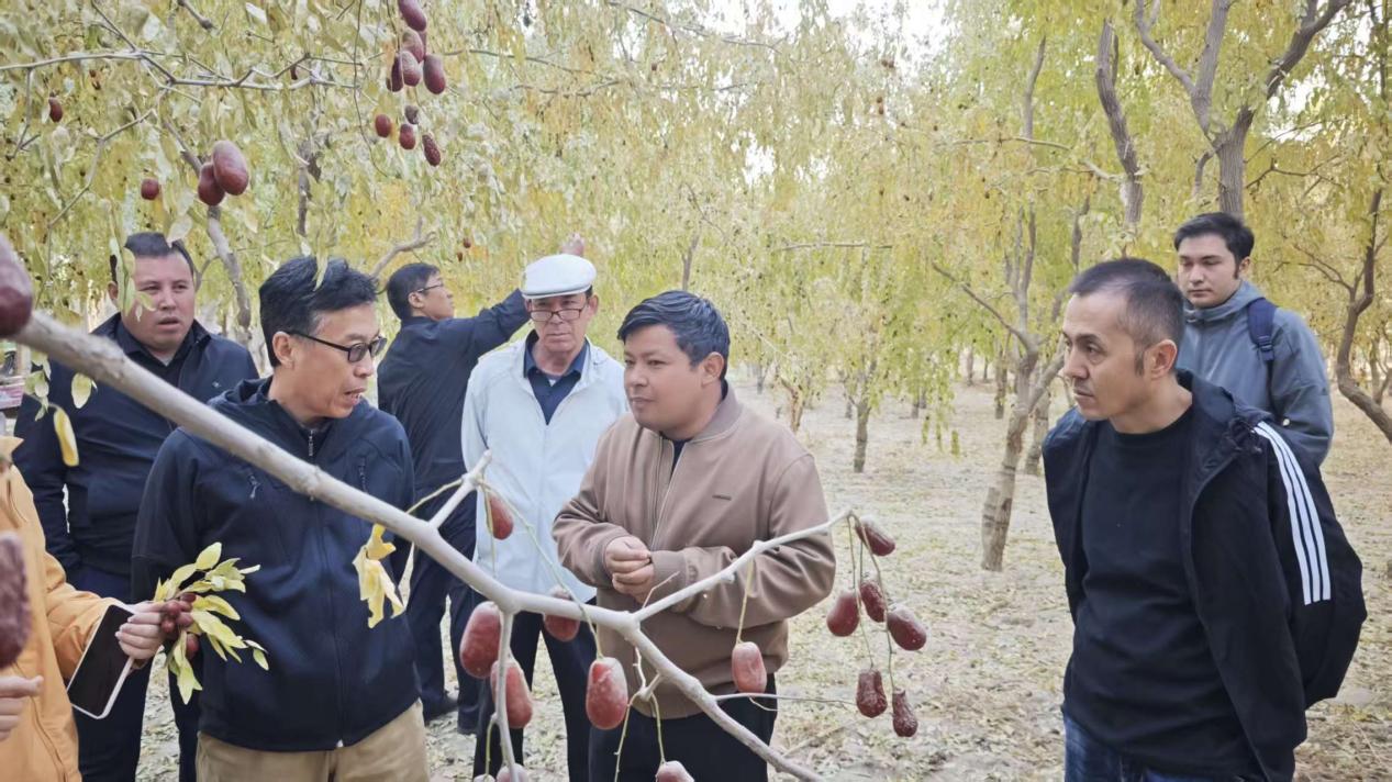 dc702b98c67665c4df60f47b250dfe0f