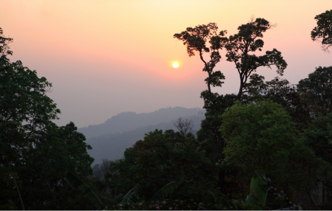 茶山风景