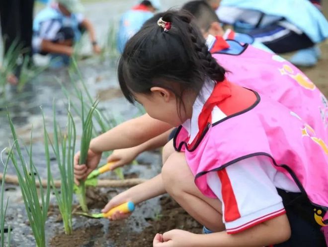 如图片无法显示，请刷新页面