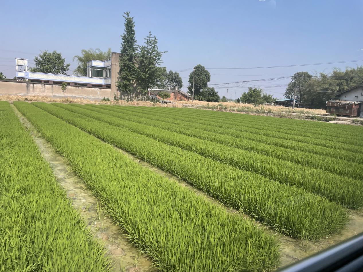 QQ图片20250526162453