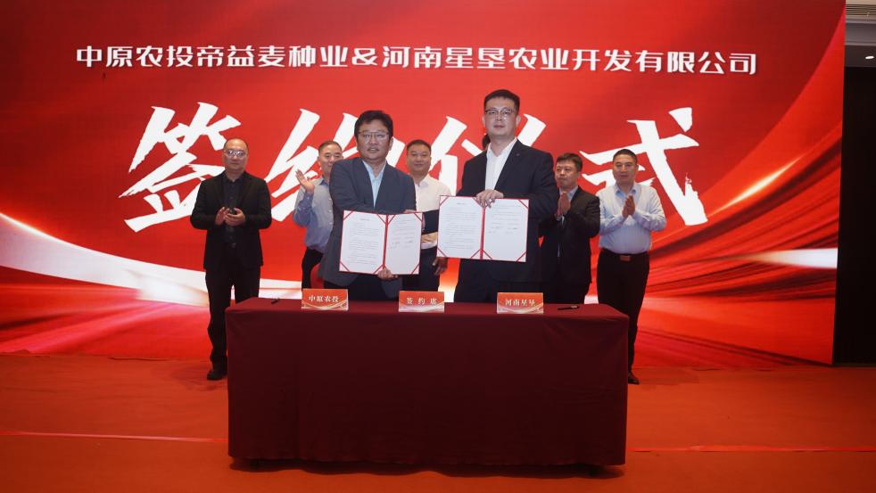 如图片无法显示，请刷新页面