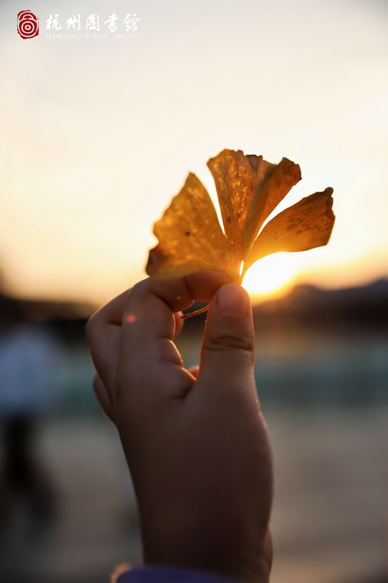 如图片无法显示，请刷新页面