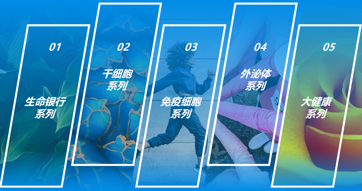 百康公司介绍V4_19