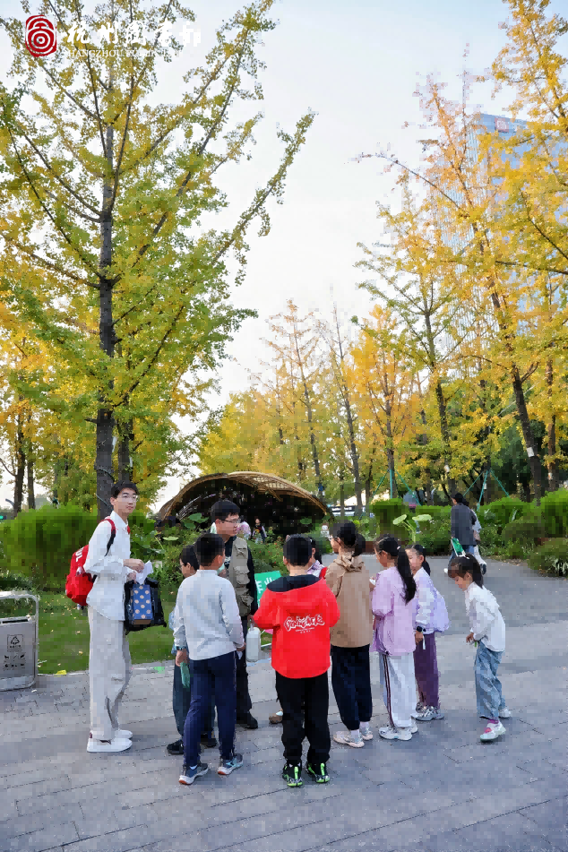 如图片无法显示，请刷新页面