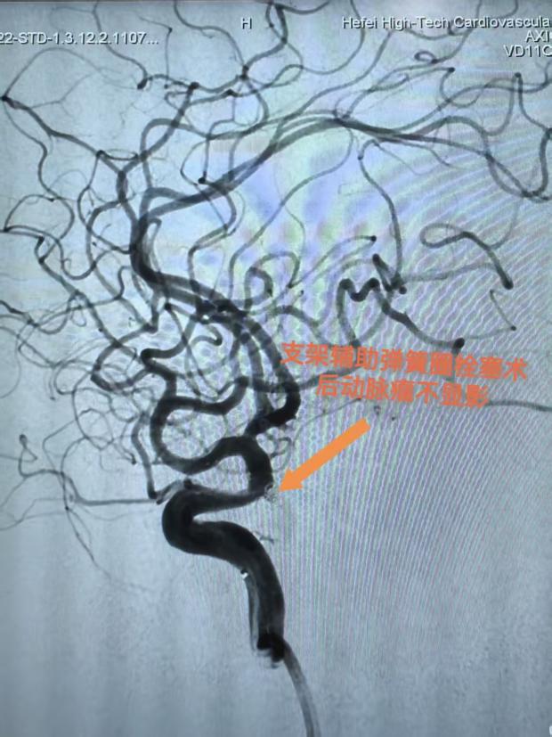 微信图片_20251029225520_688_564