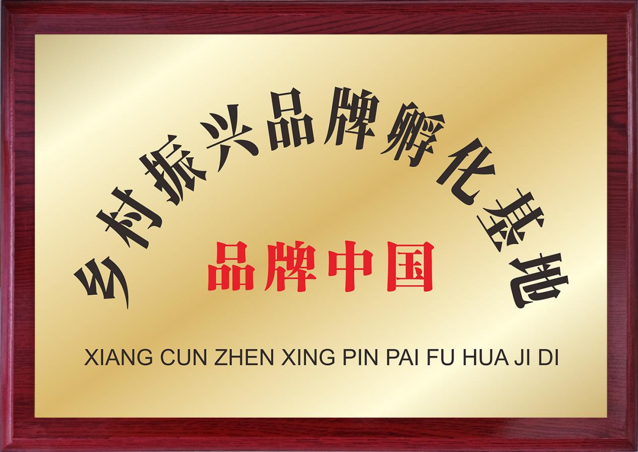 品牌中国