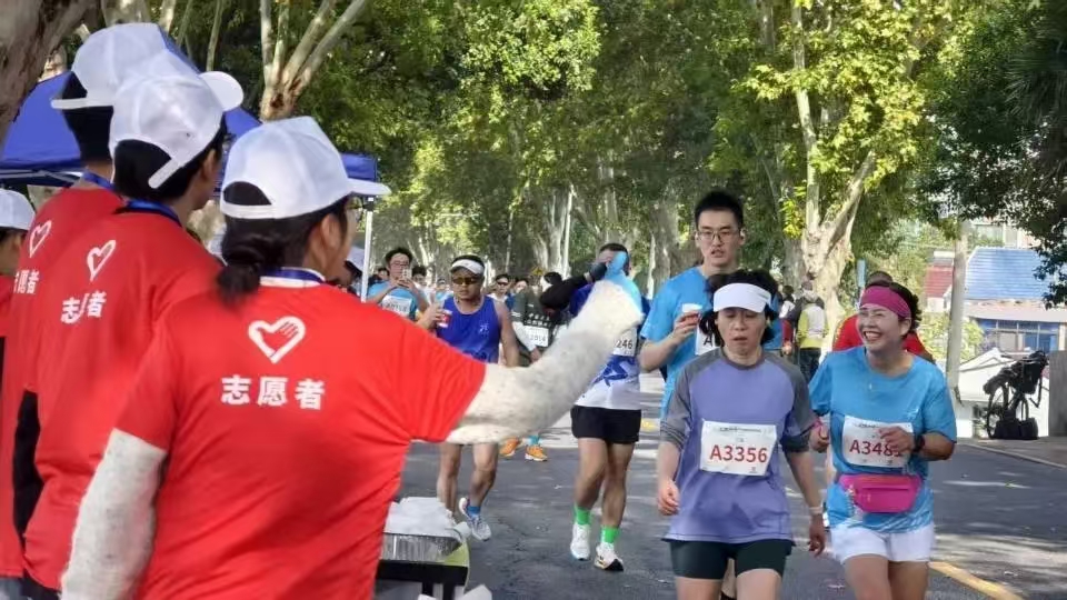 0237c3fa31b5c6eb3d717fa1a0d9a31c