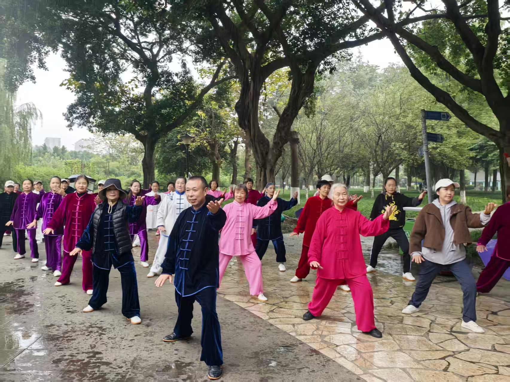 d84d90ece923fce6e490d1a475f6d14f