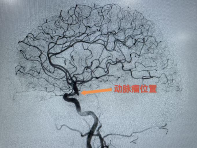 微信图片_20251029225519_687_564