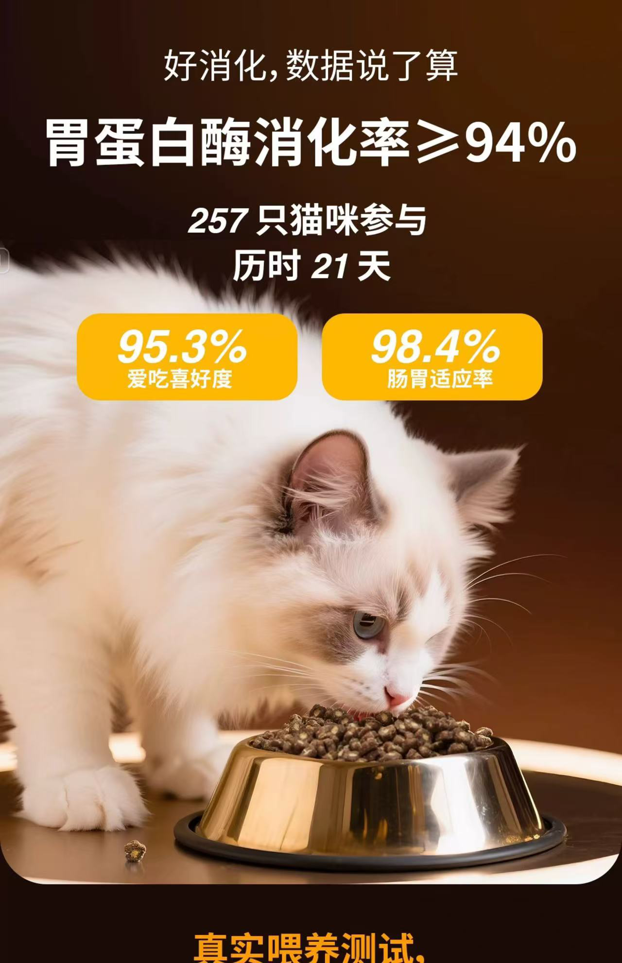 ͼƬ޷ʾˢҳ