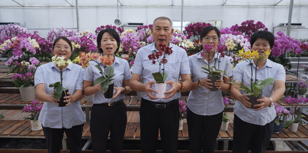 如圖片無法顯示，請刷新頁面