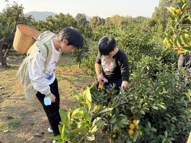 微信图片_20251115145632_234_48