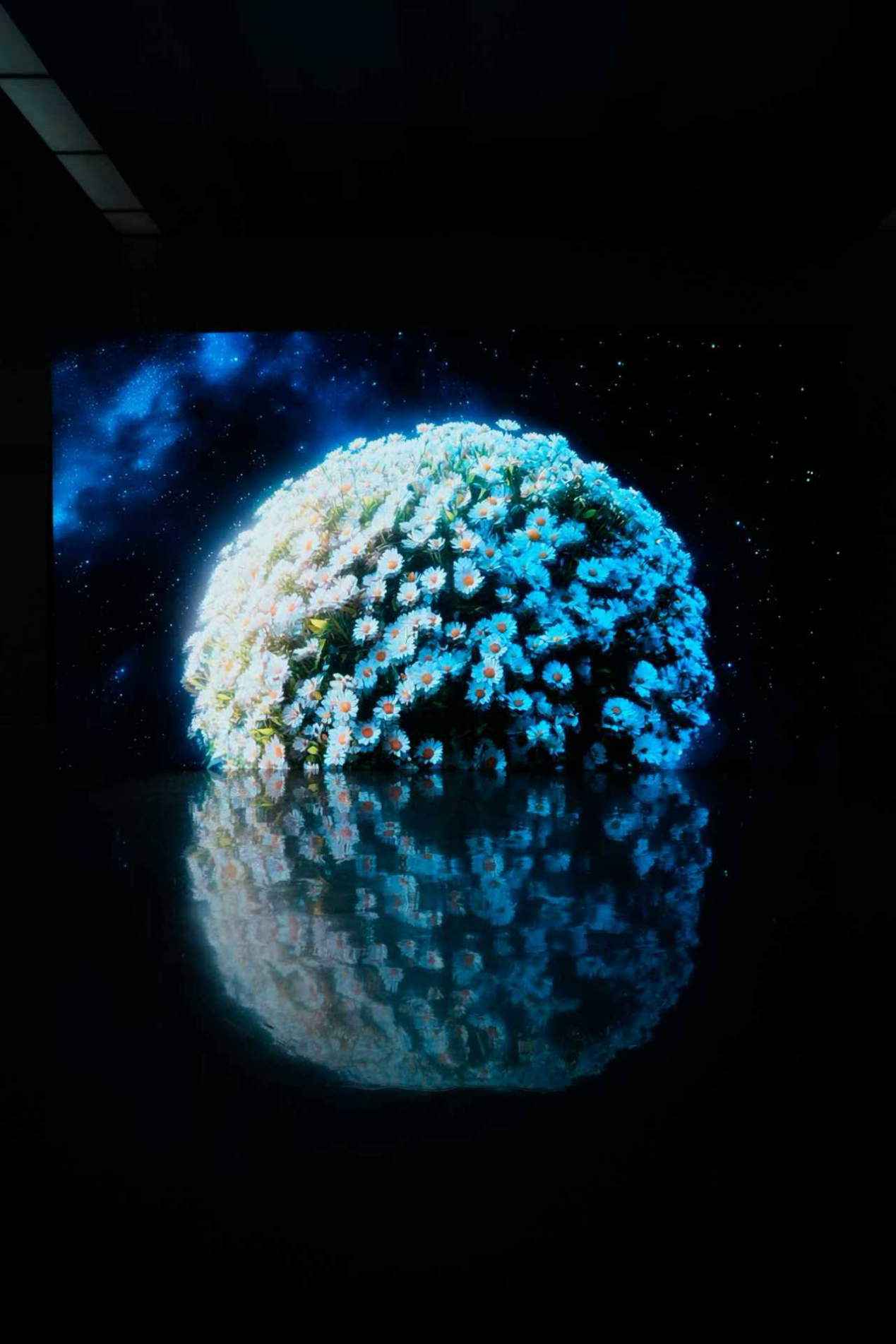 如图片无法显示，请刷新页面