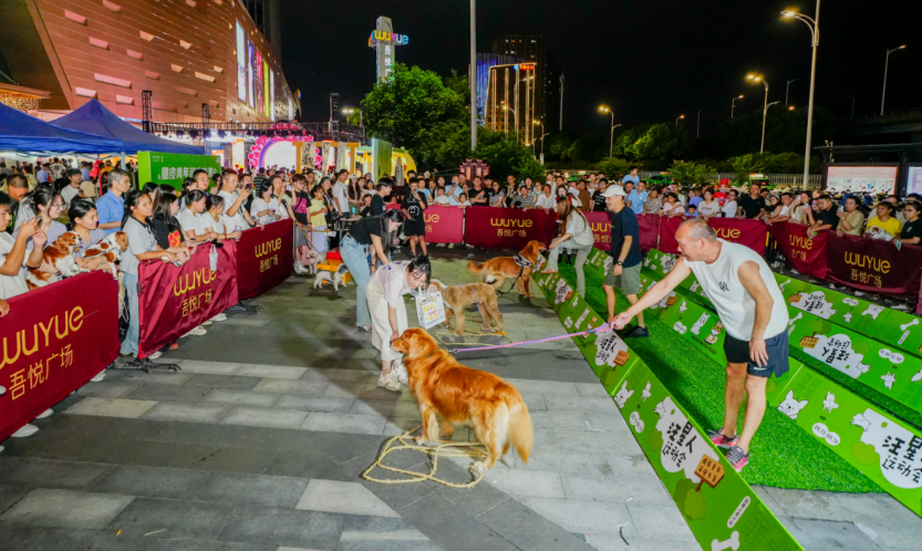 如图片无法显示，请刷新页面