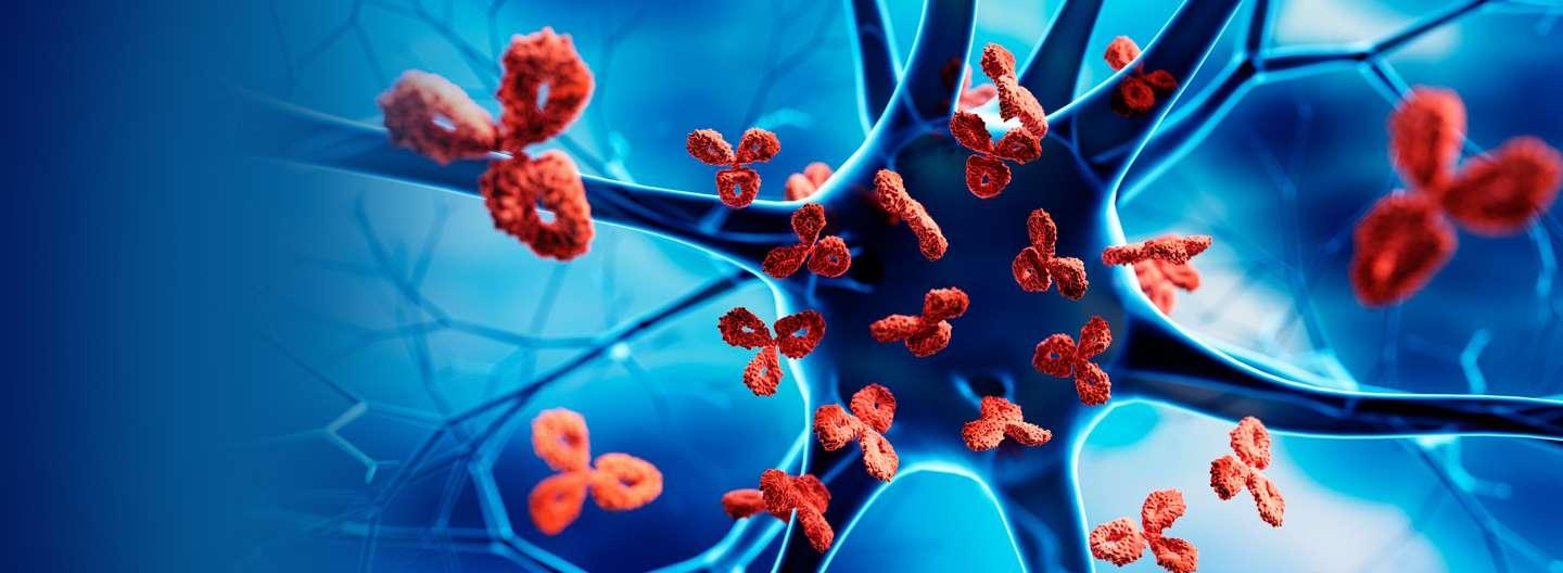 UCLA Health｜世界红斑狼疮日（2025年5月10日）：认识这种慢性疾病