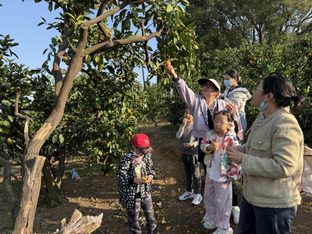 微信图片_20251115145715_244_48