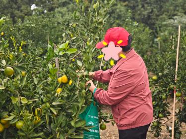 f016aafe38814aa34bc7091657f2d7f