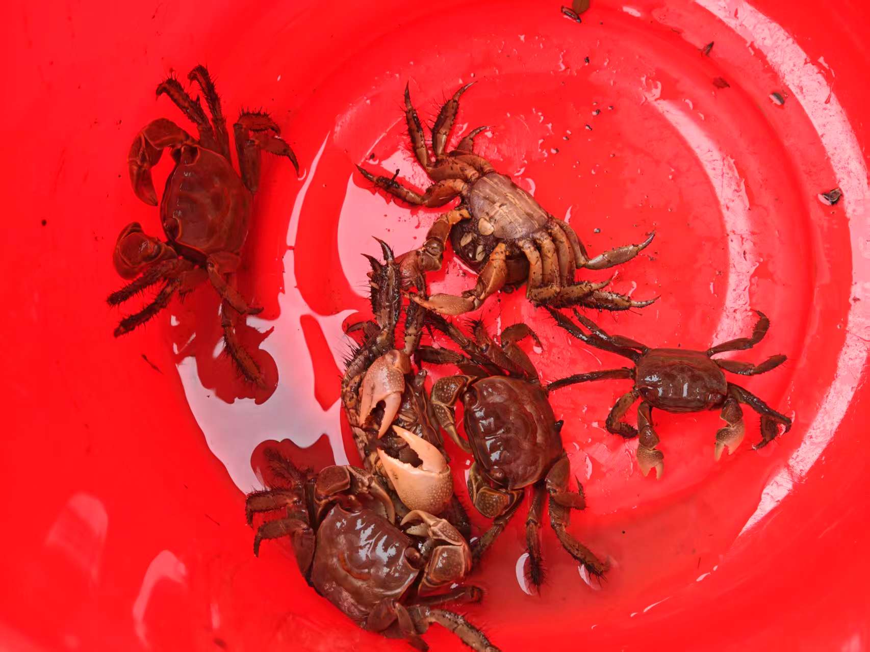 c148cbaa0b24e5d7f0f662f8b7f5da8