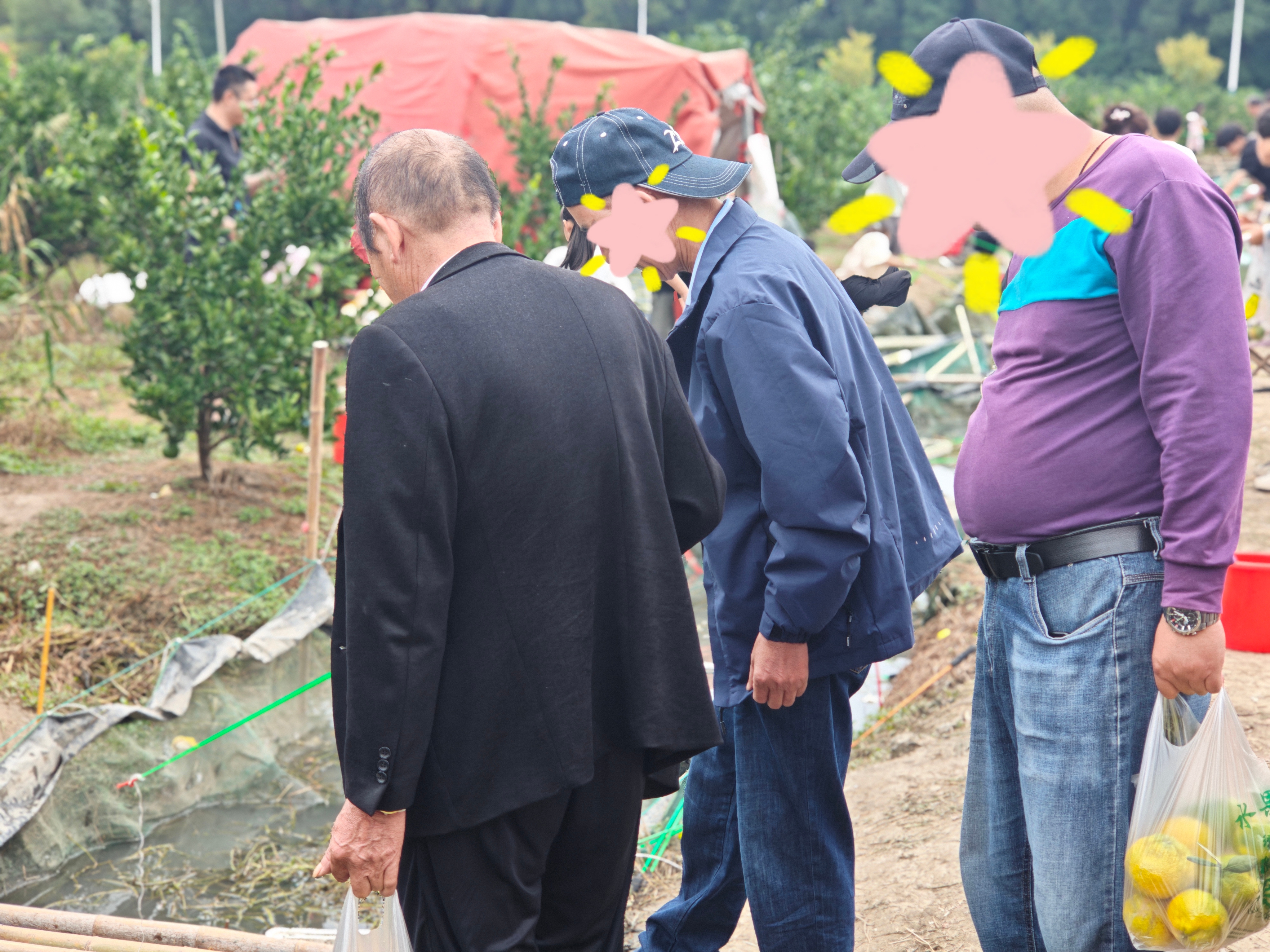 8005ef227d03a244d0f30ff78ee72d5