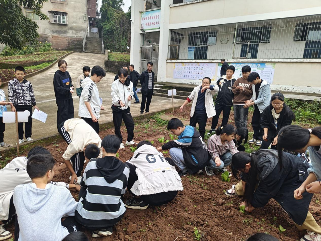 蔬菜种植体验活动