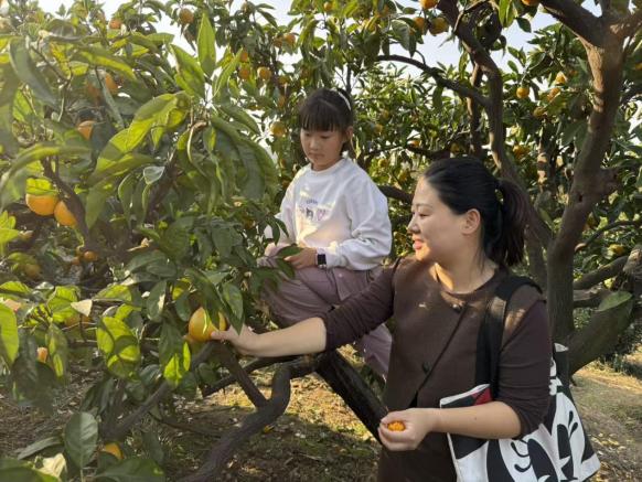 微信图片_20251115145907_248_48