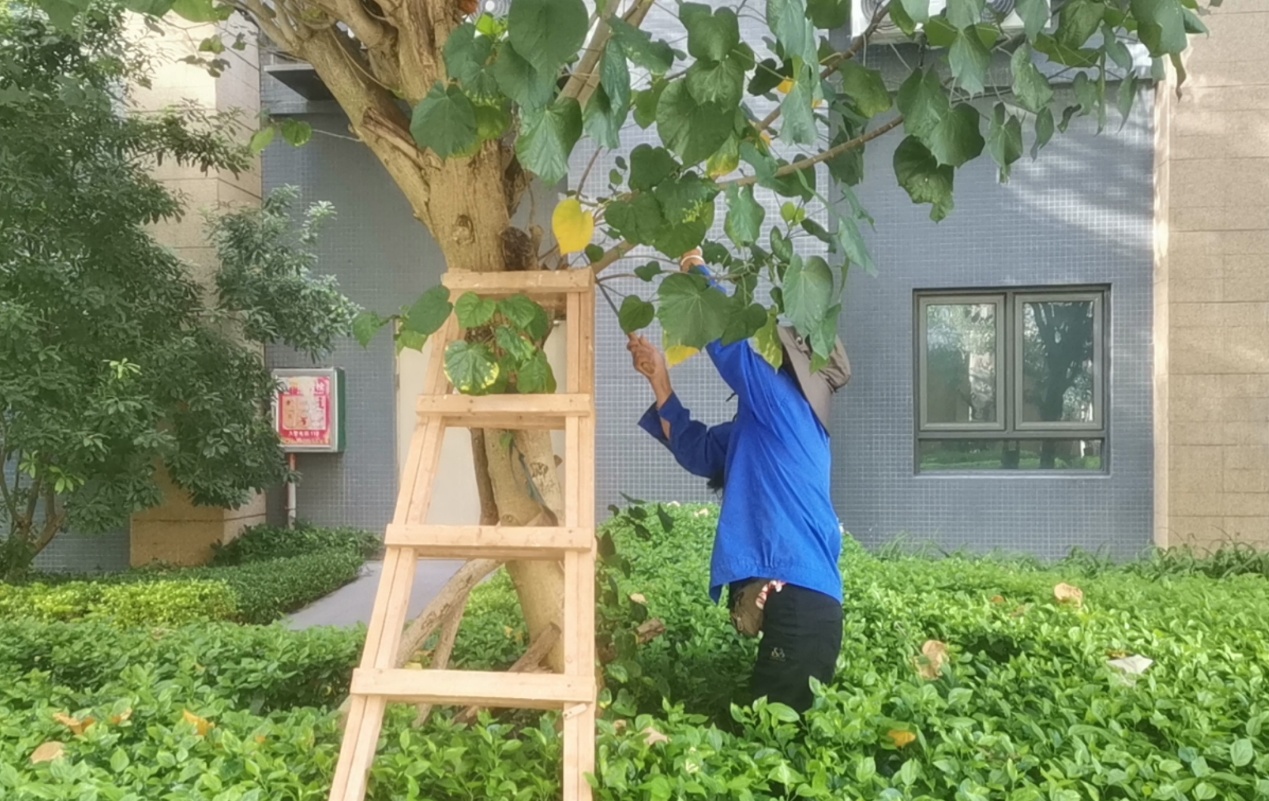 如图片无法显示,请刷新页面 如图片无法显示,请刷新页面